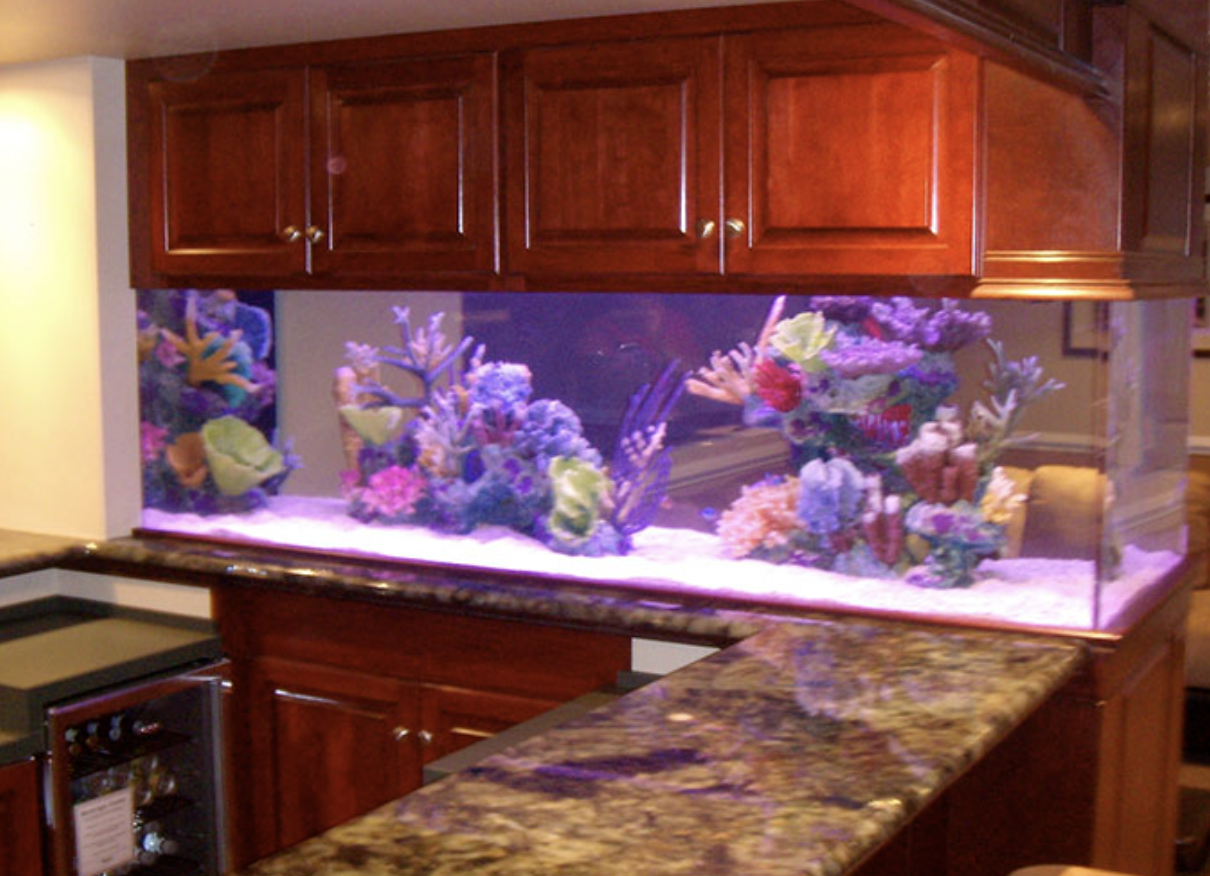 fish tank maintenance service near me